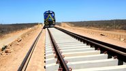 Com passo de tartaruga, ferrovia federal vai demorar a chegar no Porto de Suape - Governo Federal