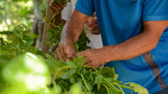 Ações na área de agricultura familiar ajudam na empregabilidade - Tomaz Silva/Agência Brasil