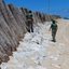 De acordo com o processo, o muro atrapalha o local de desova de tartarugas - 📸 Ibama