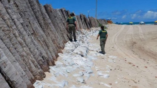 De acordo com o processo, o muro atrapalha o local de desova de tartarugas - 📸 Ibama