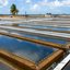 As paralisações ocorreram devido à turbidez da água dos mananciais, inundações e problemas eletromecânicos decorrentes das chuvas - Divulgação