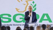 Foto: Andre Saddi/Secom-GO