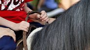 método terapêutico e educacional utiliza o cavalo em uma abordagem multidisciplinar e interdisciplinar voltada ao desenvolvimento biopsicossocial de pessoas com deficiência - Foto: Reproduçaõ da internet/ Marco Quintana