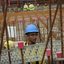 Sinduscon lançou nesta segunda-feira um plano de saúde para trabalhadores da construção civil, em parceria com o SESI e a Fiepe. - Foto: Arquivo/Tânia Rêgo/Agência Brasil