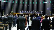 Câmara dos Deputados - Elaine Menke/Câmara dos Deputados