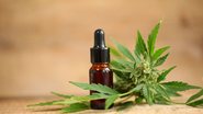 Vidro de conta gotas e folha da cannabis