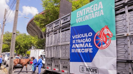 Imagem Após novo protesto, Prefeitura do Recife retoma censo para carroceiros