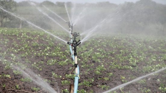 Torneira faz irrigação em plantas