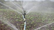 Torneira faz irrigação em plantas
