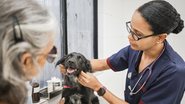 Veterinária cuida de cachorro preto