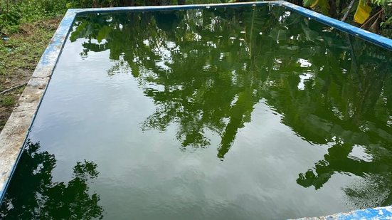 Muitas das perdas da Compesa são evitáveis, ligadas mais à falta de fiscalização do que a problemas técnicos
						
						
						Divulgação