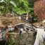 Imagem Após deslizamento com mortes, Olinda recebe garantia de apoio federal para obras em áreas de risco