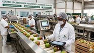 Imagem Recife recebe fórum sobre inteligência artificial e novas regras globais para segurança dos alimentos