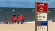 Imagem Mulher é mordida por tubarão em Boa Viagem um dia após ataque grave a criança em Piedade