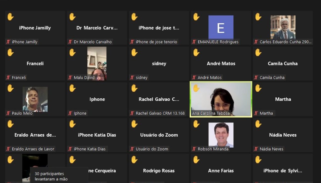 Imagem de uma tela de videochamada ao vivo, algumas pessoas estão com câmeras ligadas, todos na tela estão com um símbolo de mão levantada