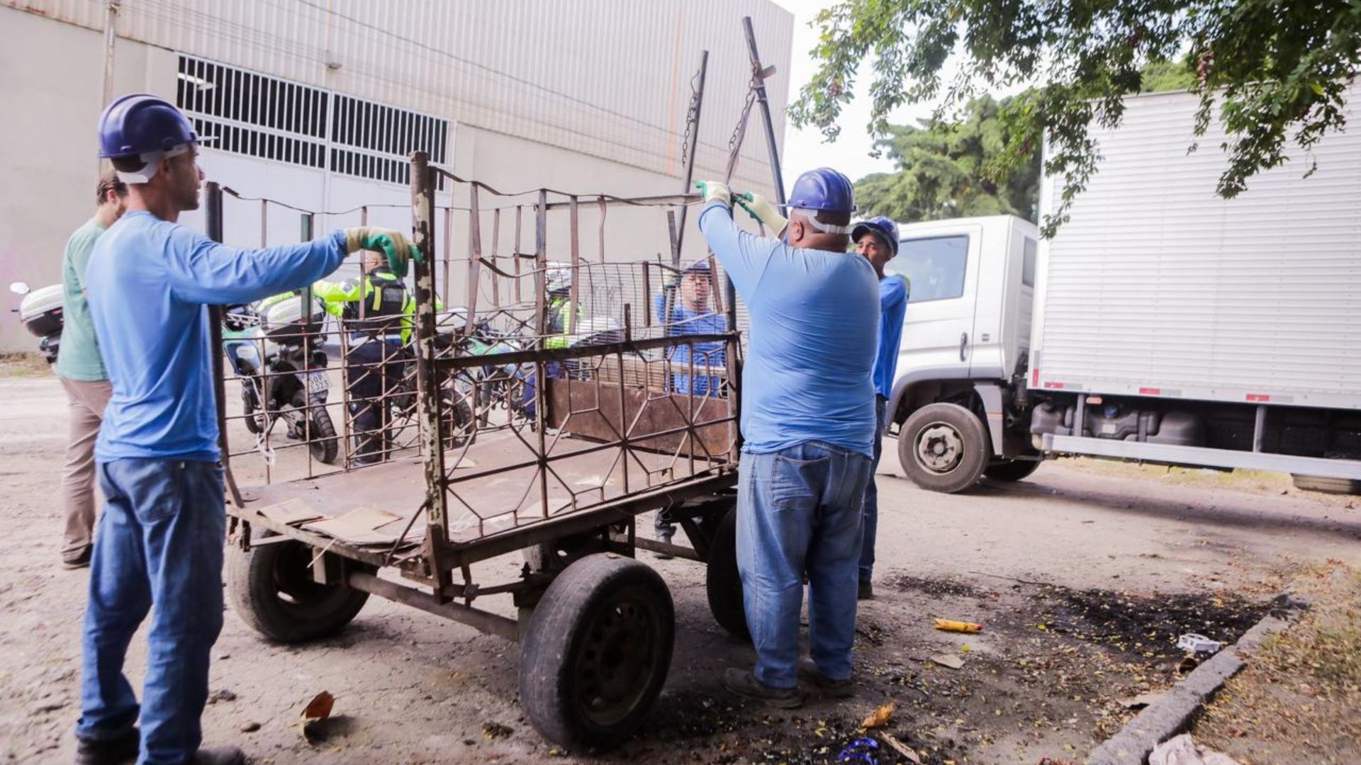 Entrega voluntária de animais e carroças