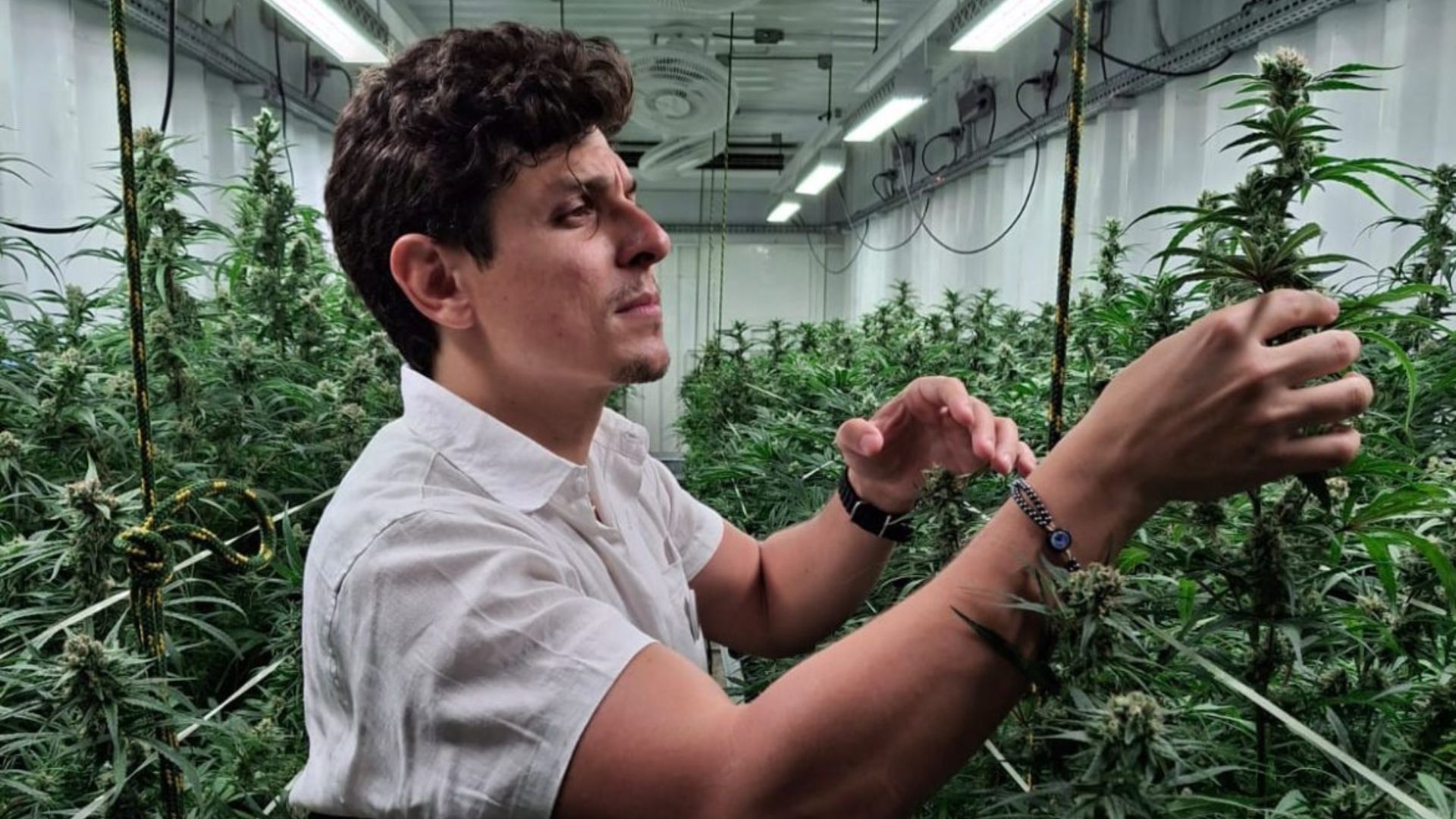 Ricardo Hazin Asfora, engenheiro agrônomo e diretor-executivo da Aliança Medicinal.