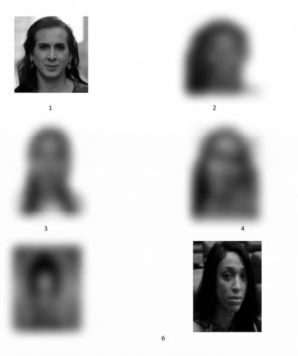 Fotos em preto em branco, seis fotos em colunas, quatro fotos embaçadas e imagens de erika hilton e duda salabert 